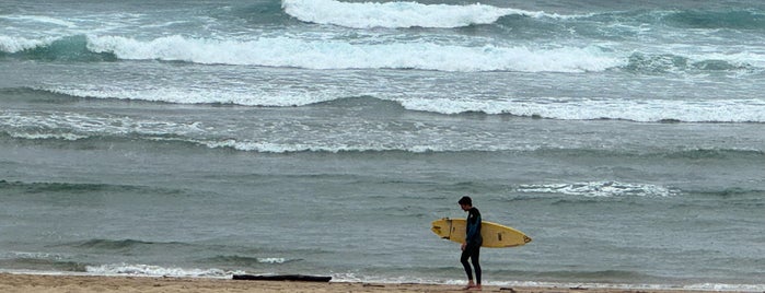 Playa de La Zurriola is one of San Sebastian.