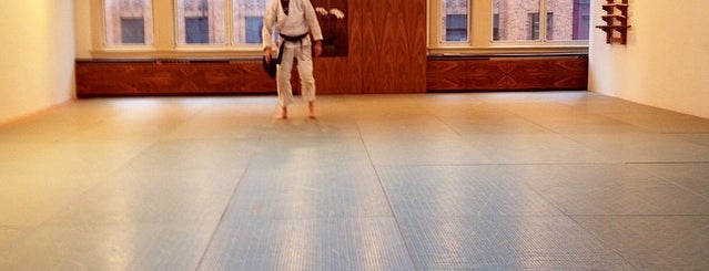 Aikido Kokikai is one of Aikido.
