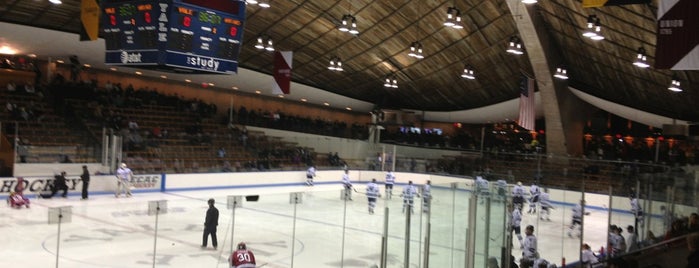David S. Ingalls Rink is one of College Hockey Rinks.