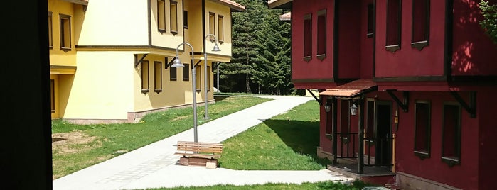 Ferko Ilgaz Mountain Hotel&Resort is one of สถานที่ที่ Aylinche ถูกใจ.