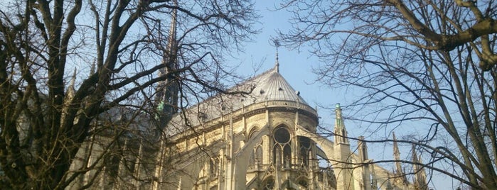 Catedral de Notre-Dame de Paris is one of Locais curtidos por Aylinche.