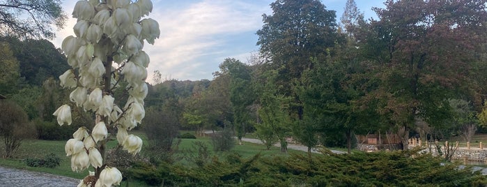 Atatürk Arboretum Göl Kenarı is one of Lieux qui ont plu à Aylinche.