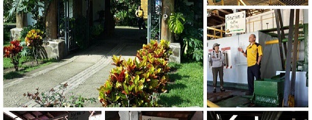 Doka Estate is one of Costa Rica 2016.