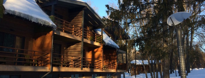 Welna Eco Spa Resort is one of Подмосковье.