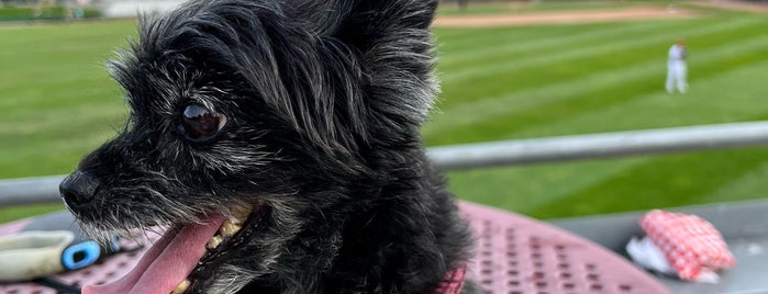 Dehler Park is one of Minor League Ballparks.