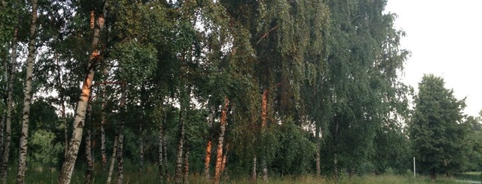 Аллея «Дорога жизни» is one of Anastasia’s Liked Places.