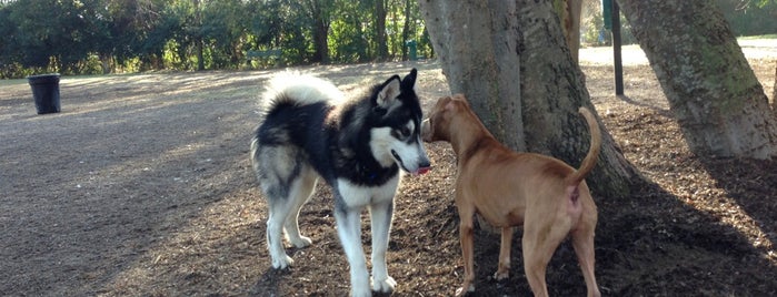 Hampton Park Dog Run is one of Charleston Lowcountry Dog Runs.
