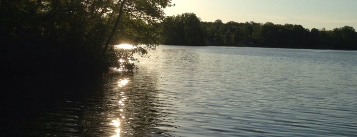 Piney Lake is one of Daron'un Beğendiği Mekanlar.
