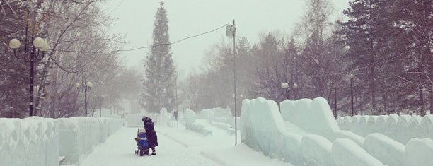 Парк «Динамо» is one of Orte, die Fedor gefallen.