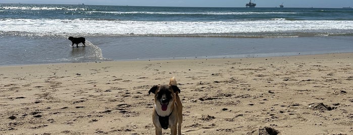 Huntington Dog Beach is one of ¤CANINE DIGS¤.