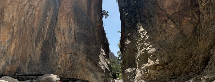 Samaria Gorge is one of Crete is our playground.