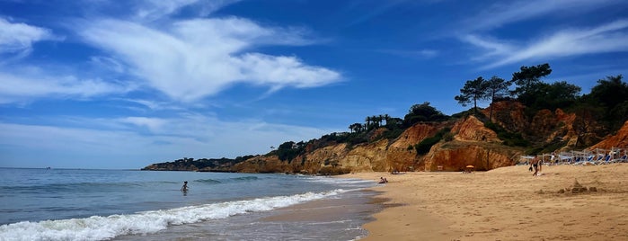 Praia Maria Luisa is one of algarve.