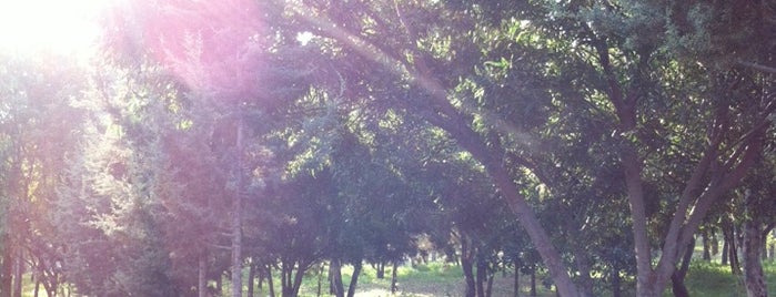 Bosque De Los Remedios (Los Arcos) is one of Tempat yang Disukai Moni.