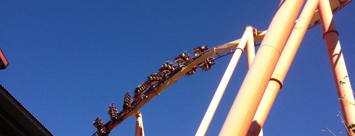 Tatsu is one of Six Flags Magic Mountain Roller Coasters.