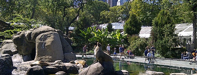 Zoo de Central Park is one of New York 2012.
