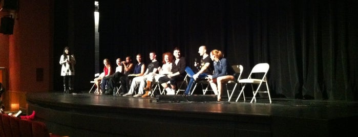 Booth Tarkington Civic Theatre is one of 300 Days of Indy.