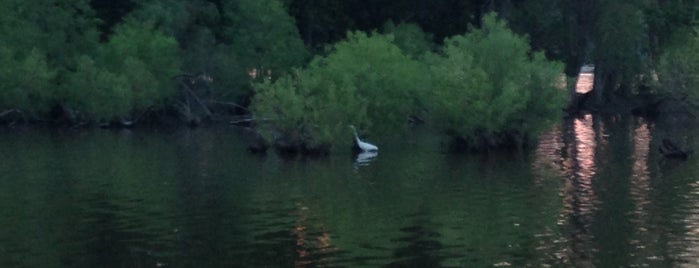 August A Busch Memorial Conservation Area