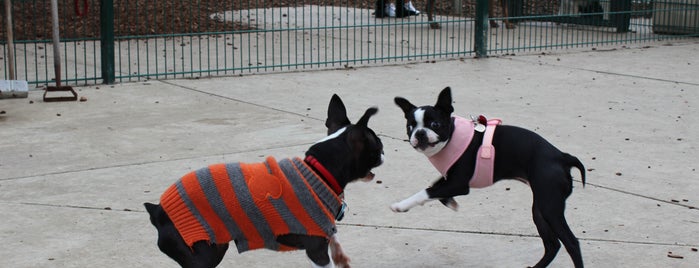 Butcher Dog Park is one of Top 5 Dog Parks in Silicon Valley.