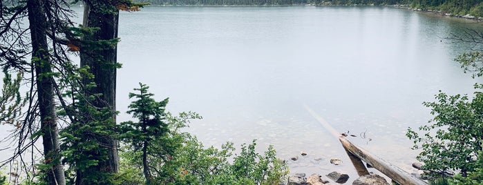 Bradley lake is one of Lugares favoritos de Bridget.