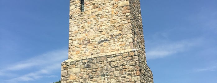 Singing Tower is one of Shenandoah.