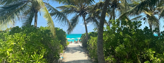 Grace Bay Beach is one of Turks & Caicos Provenciales.