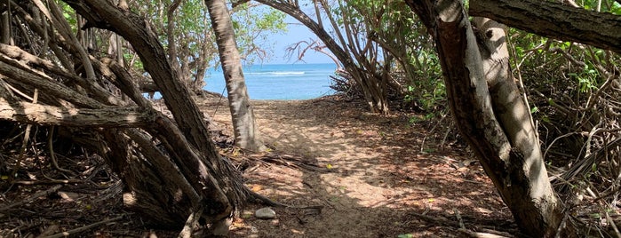 Shoys Beach is one of Virgin Islands.