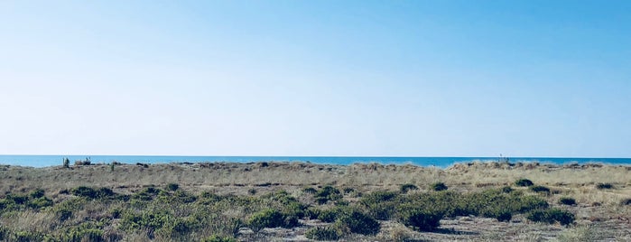Spiaggia di Novasiri is one of Pulia*Beachlife*Spiaggia.