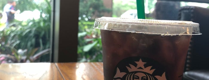 Starbucks is one of Paola : понравившиеся места.