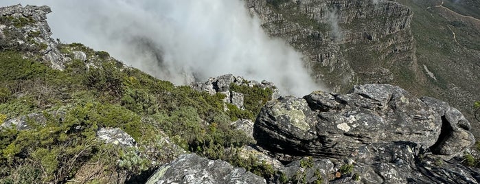 Montaña de la Mesa is one of South Africa.