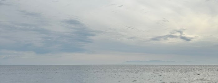 Salihleraltı Plajı is one of Top picks for Beaches.