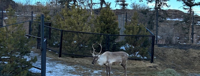Calgary Zoo is one of Calgary 🇨🇦.