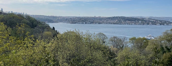 Çubuklu Korusu is one of İstanbul'un Parkları ve Yeşil Alanları.