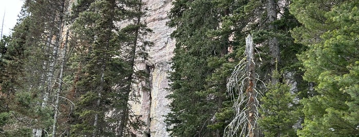 Lake Louise Trail is one of Banff National Park.