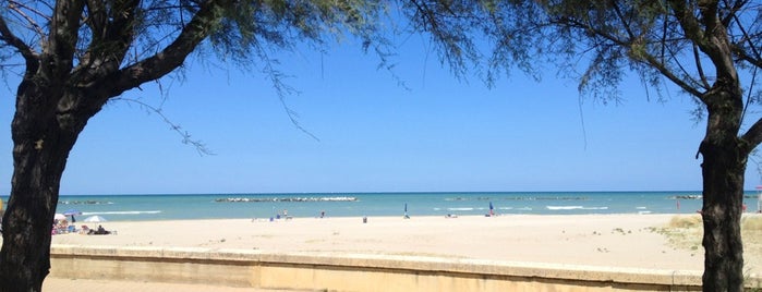 Spiaggia di Senigallia is one of Tempat yang Disukai Ico.