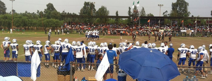 Campos de Fútbol