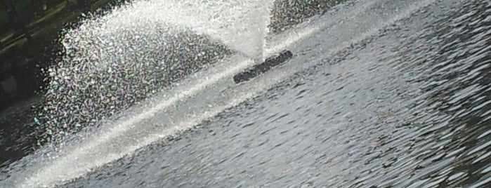 O Lago is one of braga.