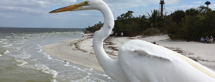 Sanibel Island Fishing Pier is one of Places to check out near Estero..