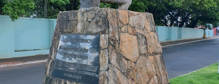 Monumento a Fraternidade de Paraguaçu is one of Monumentos e Marcos em Paraguaçu Paulista.