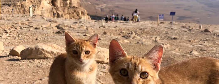 Visitor Overlook Machtesh Ramon is one of Israel.