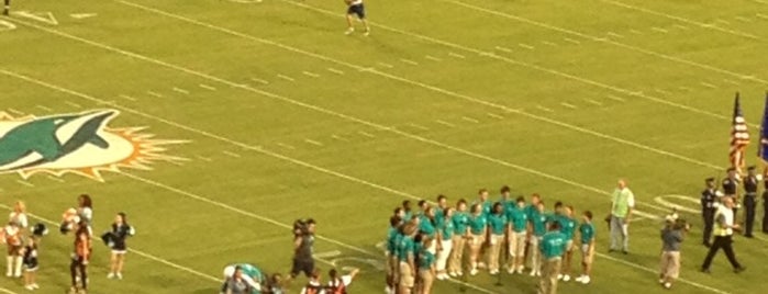 On the Field @ The Dolphins Game is one of Sports.