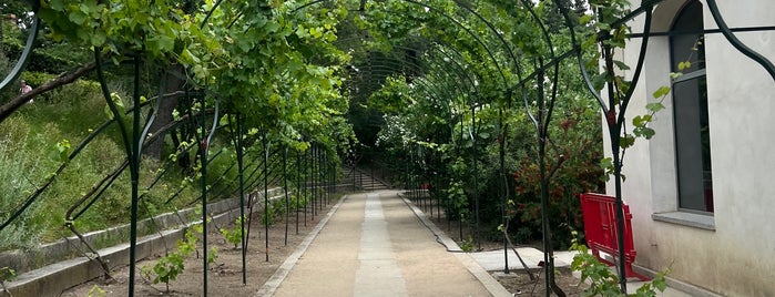 Real Jardín Botánico is one of parques.