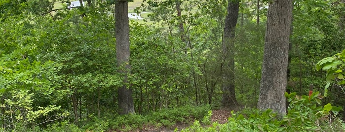 New Quarter Park is one of EVMA Mountain Bike Trails.