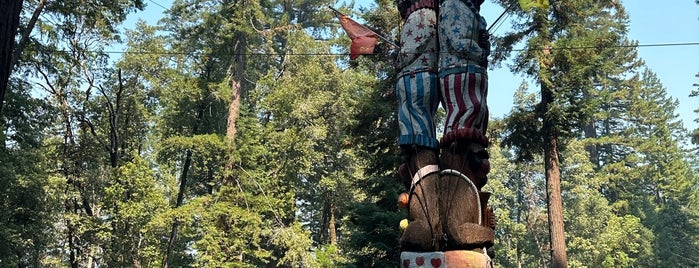 Confusion Hill is one of California Bucket List.