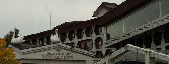 白樺リゾート池の平ホテル is one of Hendra'nın Beğendiği Mekanlar.
