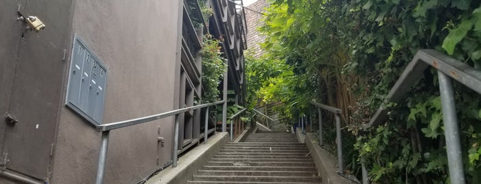 Upper Terrace Stair is one of Stairs of San Francisco.