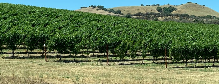 Napa Valley Farms is one of Napa.