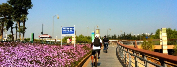 Shenzhen Bay Park is one of Shenzhen.