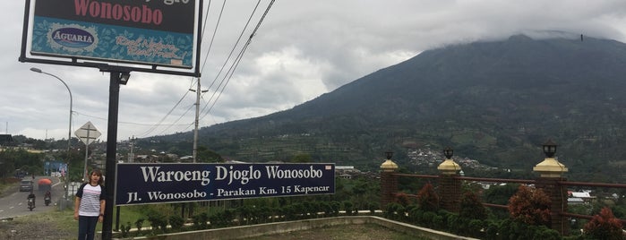 Waroeng Joglo (kledung pass - Wonosobo - Central Java) is one of manganan.
