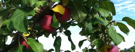 Treworgy Family Orchards is one of Dana'nın Beğendiği Mekanlar.