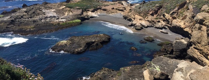 Point Lobos State Reserve is one of Road Trip: Los Angeles to San Francisco.